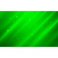Colorant Liquide Vert (Savons & Cosmétiques)